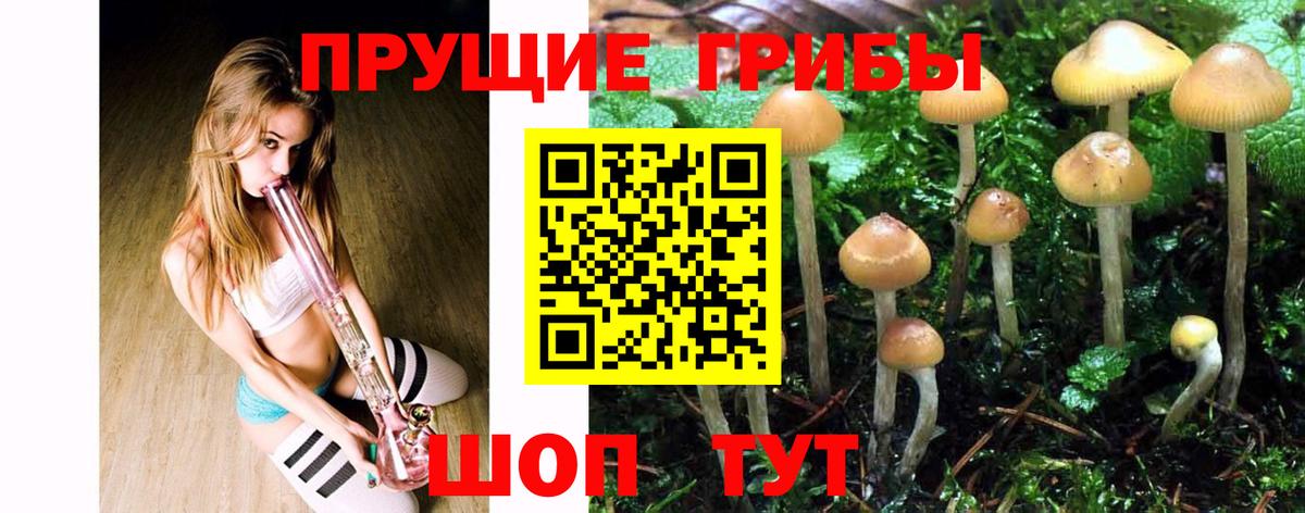 Псилоцибиновые грибы MAGIC MUSHROOMS Нижнекамск