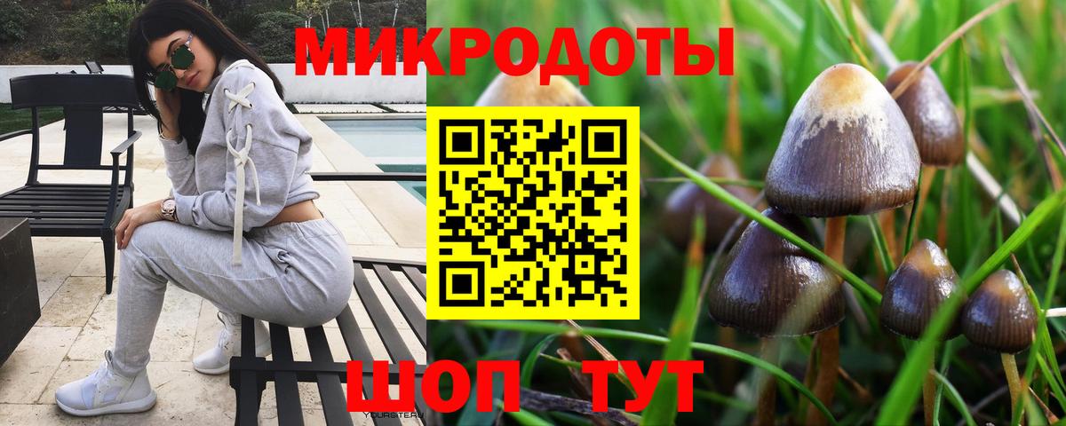 Нижнекамск  Псилоцибиновые грибы мицелий  Вход с VPN 