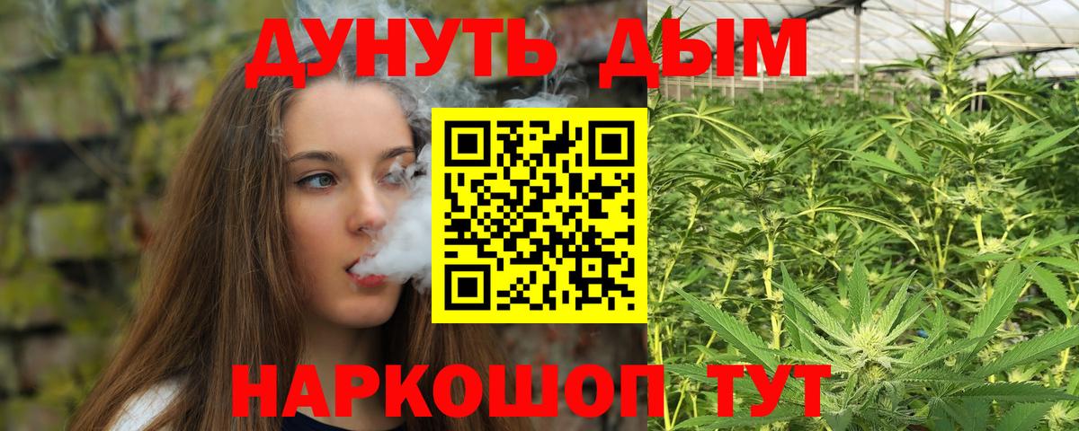 Шишки марихуана план  Шишки марихуана конопля  Конопля семена  Бошки Шишки ГИДРОПОН  Нижнекамск  Вход с VPN 